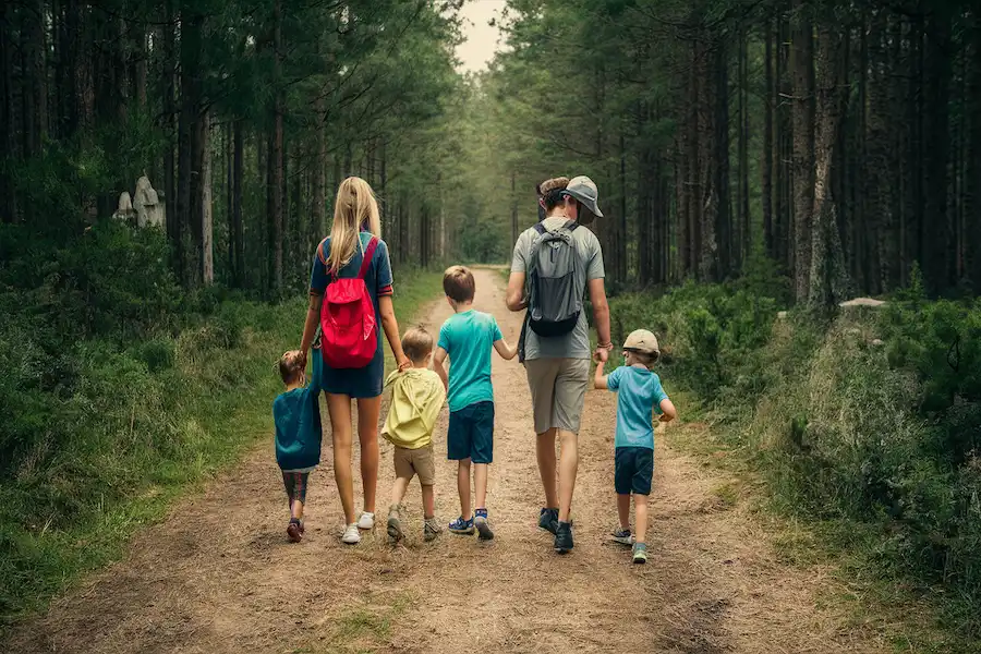 Häufige Fehler vermeiden
